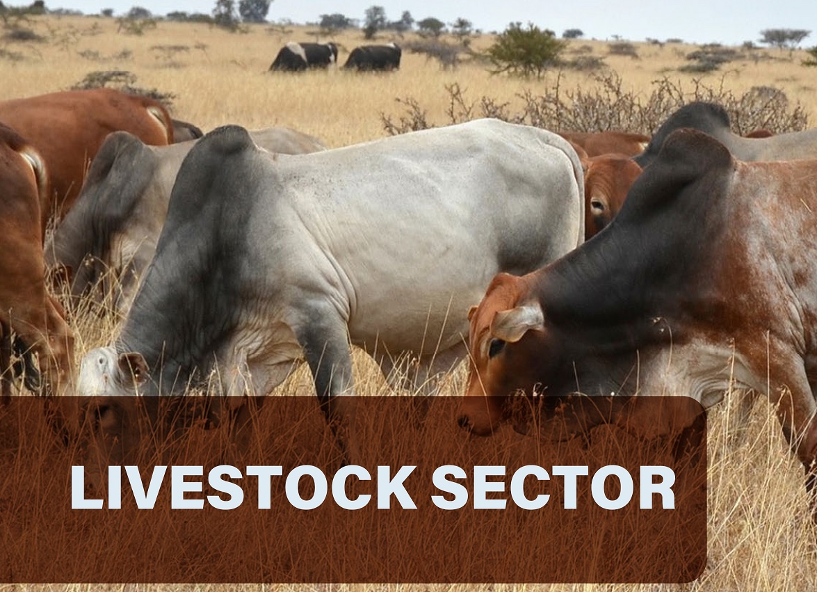 Livestock