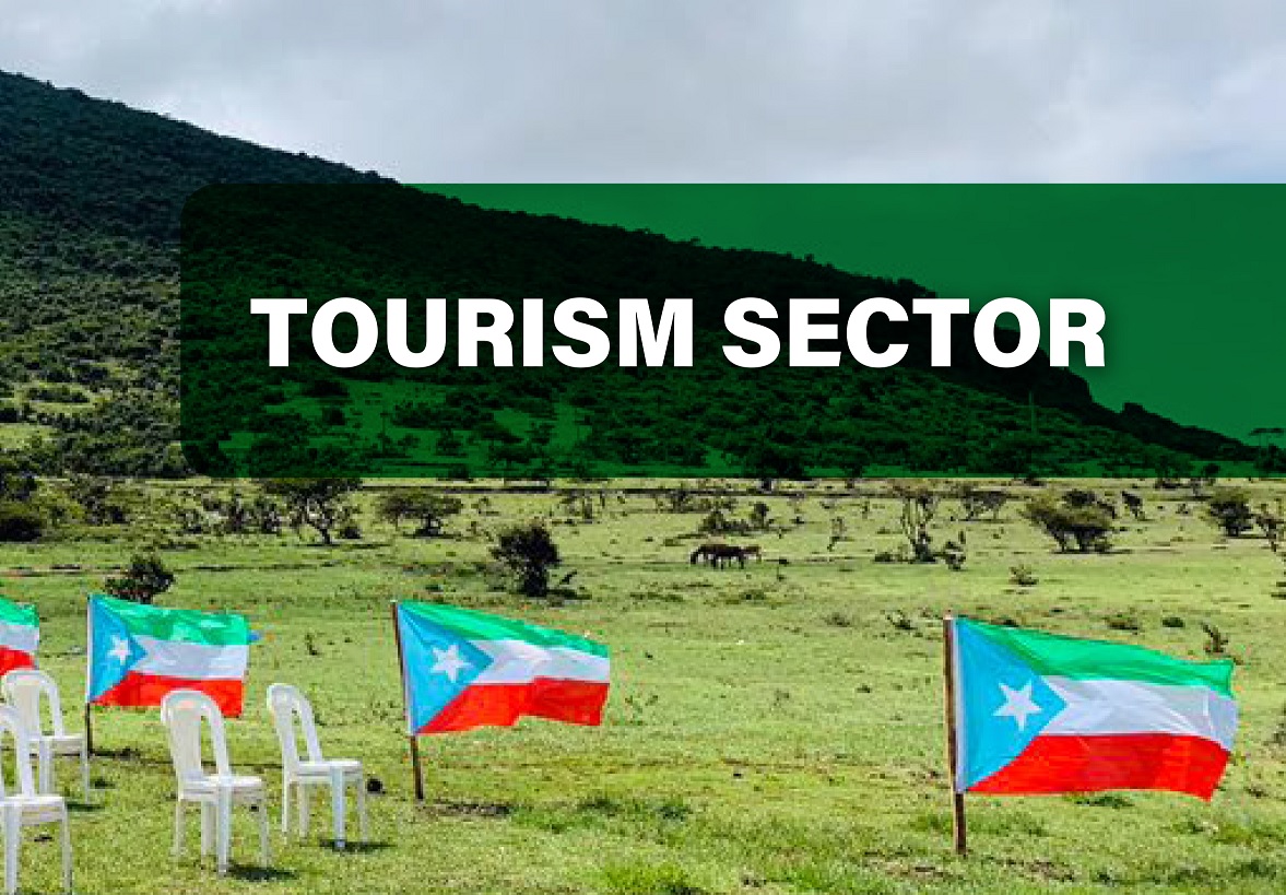 Tourism and Hospitality